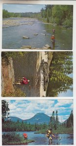 P2409, vintage photo postcards 3 dif fishing in maine