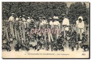 Old Postcard Folklore Harvest Vine Champagne pickers TOP