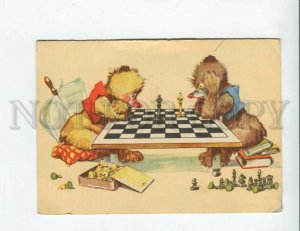 3154688 CHESS Players TEDDY BEAR Comic Vintage postcard