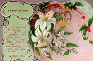 C. 1910 Language Of Flowers Myrtle Lily Woman's World Magazine Postcard P217