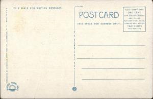 Orlando FL Golf Golfing c1920 Postcard