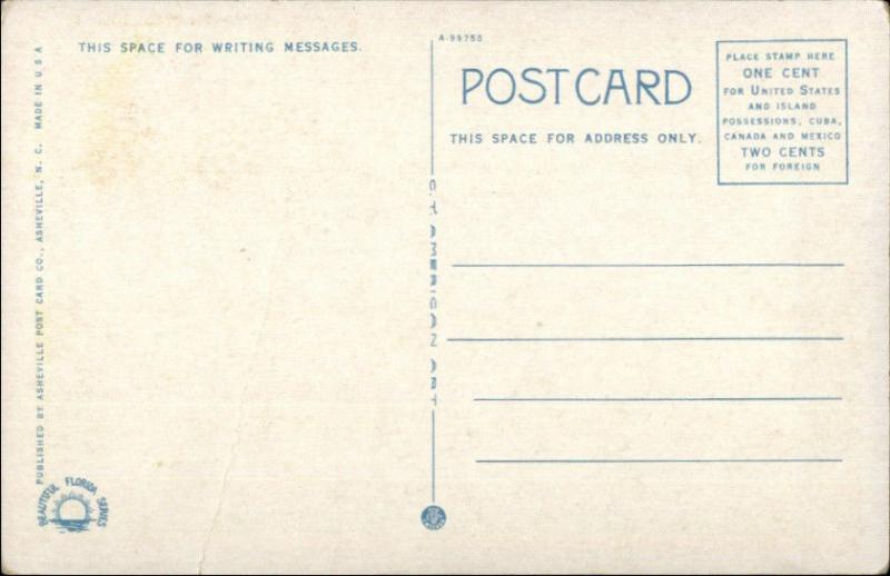 Orlando FL Golf Golfing c1920 Postcard