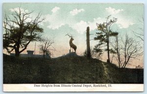 ROCKFORD, Illinois IL ~ DEER HEIGHTS from Illinois Central Depot 1910 Postcard