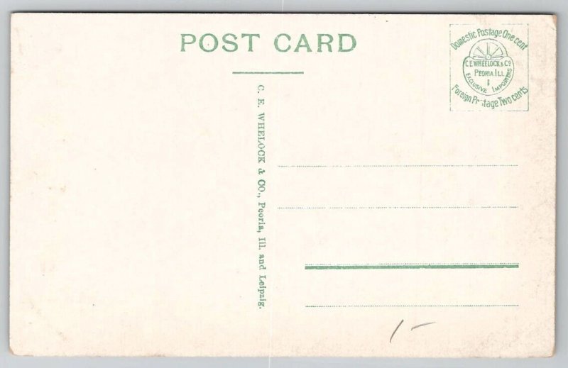 Carnegie Library Allegheny PA Pennsylvania Postcard D31