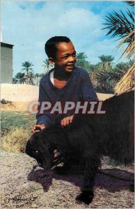 Modern Postcard Scenes et Types Algeria Child Sheep