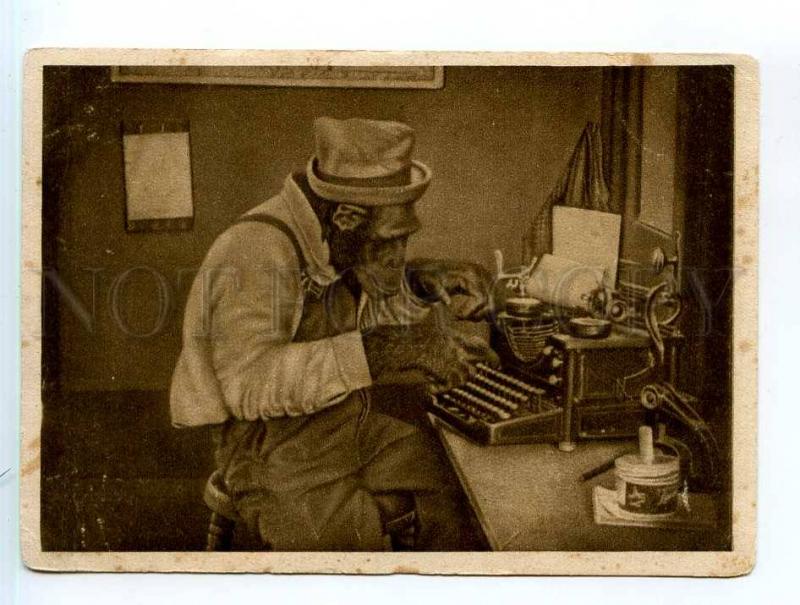 250295 USSR monkey w/ typewriter 1930 year postcard