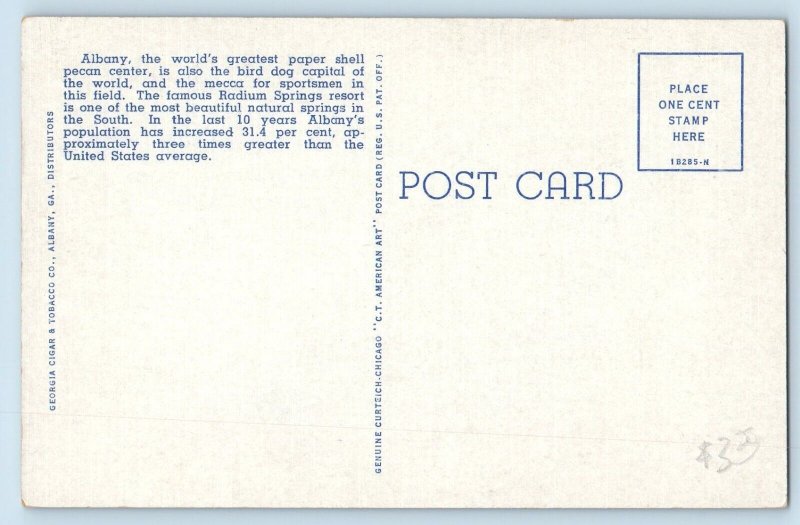 Albany Georgia GA Postcard Washington Street Night Radium Spring Resort c1940