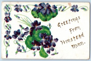 Winstead Minnesota MN Postcard Greetings Embossed Flowers And Leaves c1910's