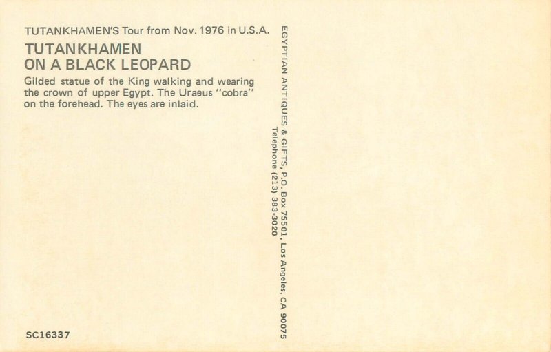 King Tut on a Black Leopard Chrome Postcard from Nov 1976 Tour