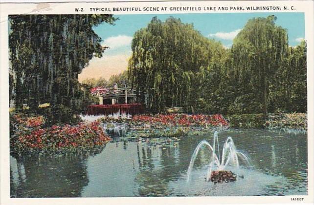 North Carolina Wilmington Beautiful Scene At Greenfield Lake and Park Curteich