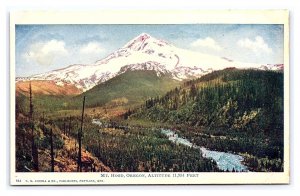 Mt. Hood Oregon Altitude 11,934 Feet Postcard