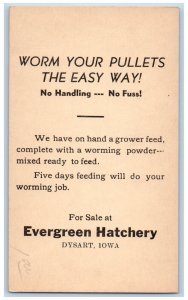Dysart Iowa IA Traer IA Postal Card Evergreen Hatchery Worm Your Pullets c1930's
