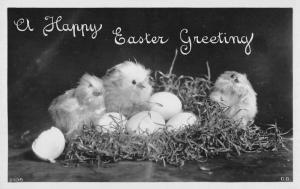 Group Of 4 Happy Easter Greeting Chicks Nest Real Photo Antique Postcards K81865