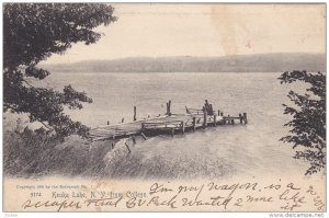 Keuka Lake, from College, New York, PU-1906