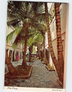 Postcard Palm Passage, St. Thomas, Charlotte Amalie, U.S. Virgin Islands