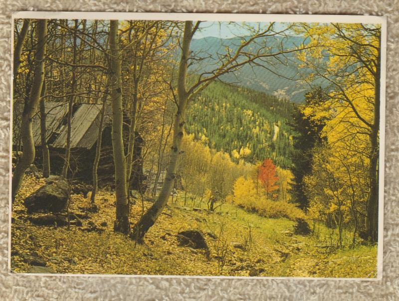 AUTUMN IN THE ROCKIES Scenic Postcard Fall Foliage