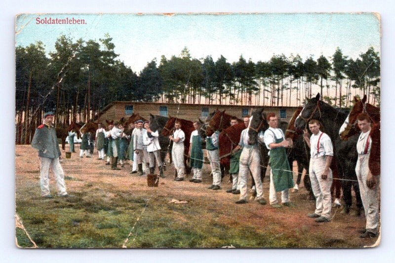 WWI German Army Soldier Life Tending To Horses  1913 DB Postcard M2 