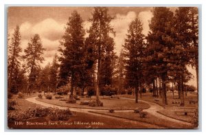 Scene In Blackwell Park Couer D'Alene Idaho ID UNP Sepia DB Postcard P19