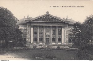 NANTES , France , 00-10s ; Museum d Histoire naturelle