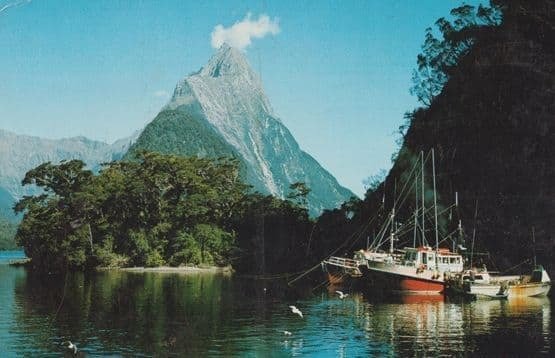 Mitre Peak Crayfishing Boat Boats New Zealand Postcard