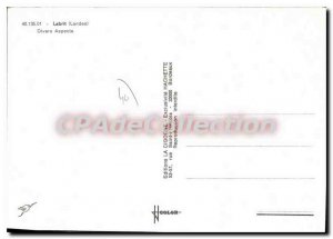 Postcard Modern Labrit Various Aspects