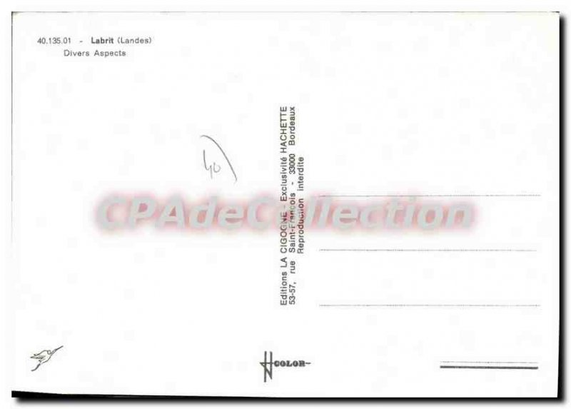 Postcard Modern Labrit Various Aspects