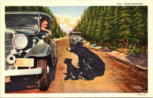 Bear Beggars at Car Postcard PM Ronan Montana 1944 to Taborsky Missoula MT