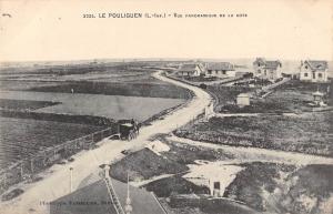 Le Pouliguen France Panorama View Antique Postcard (J38417)