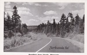 Minnesota Greetings From Lincoln Northwoods Ho Real Photo