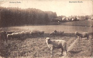 Lot367 uk haysward heath victoria park hayward heath West Sussex