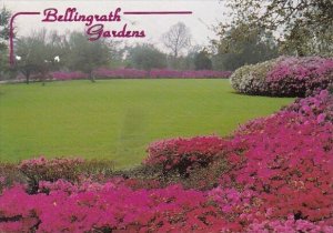 The Great Lawn Bellingrath Gardens Theodore Alabama 1998
