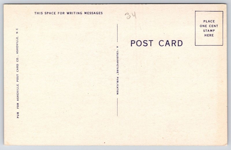 Little Boy Shouting Hello At The Mountain Waiting To Echo Comic Postcard