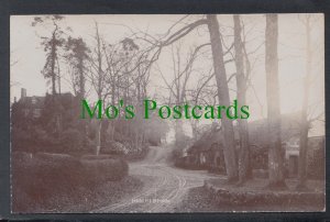 Rampisham Village, Dorset SW5740