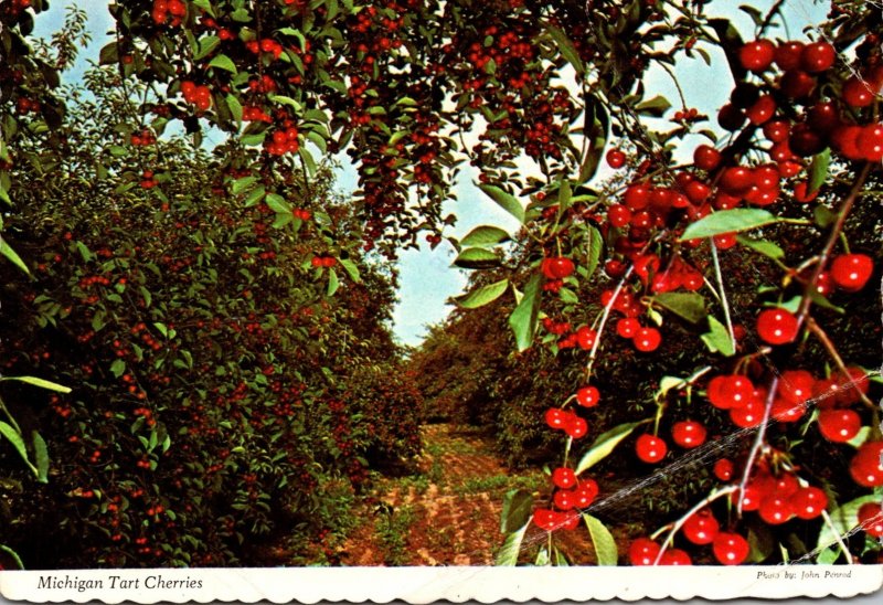 Michigan Tart Cherries 1978