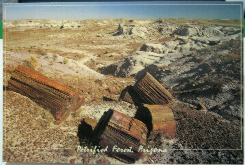 United States Petrified Forest Arizona - unposted