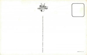 LPM68 Idaho Map Chrome Postcard The Potato State