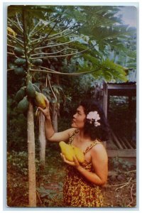 1960 Island Girl Picks Papaya Luscious Tropical Fruits Hawaiian Islands Postcard