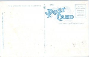 1920s Spring on Way to Hair Pin Turn Mohawk Trail MA Old Cars Postcard