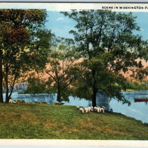 c1920s Chicago, IL Washington Park w/ Old Postcard Dealer Advertising Stamp A218