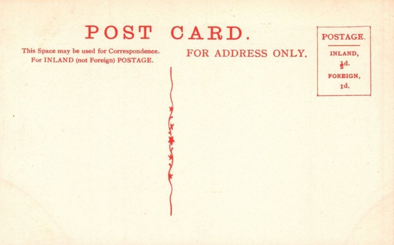 Vintage Postcard 1910's Swanbourne Lake Arundel Sussex England UK Wyndham Series