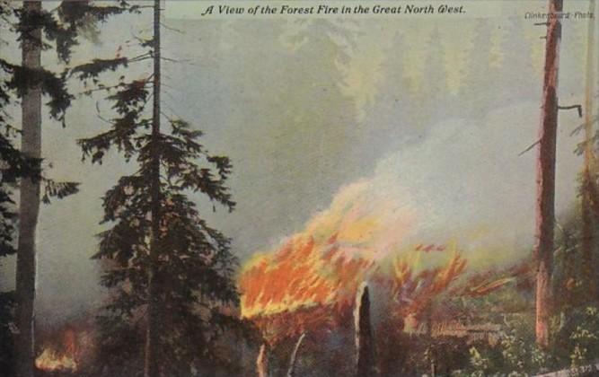 A View Of The Forest Fire in The Great Northwest