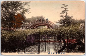 VINTAGE POSTCARD BRIDGE OVER BLOSSOM OF WISTERIA KAMEIDO TOKYO JAPAN c. 1910