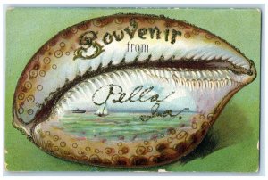 1910 Souvenir From Seashell Embossed Glitter Pella Iowa Vintage Antique Postcard