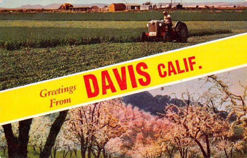 Davis California Greetings Farm Orchard Vintage Postcard J81047