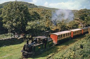 Teliesin Festiniog Fairlie Locomotive Train Postcard
