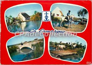 Modern Postcard The Camargue