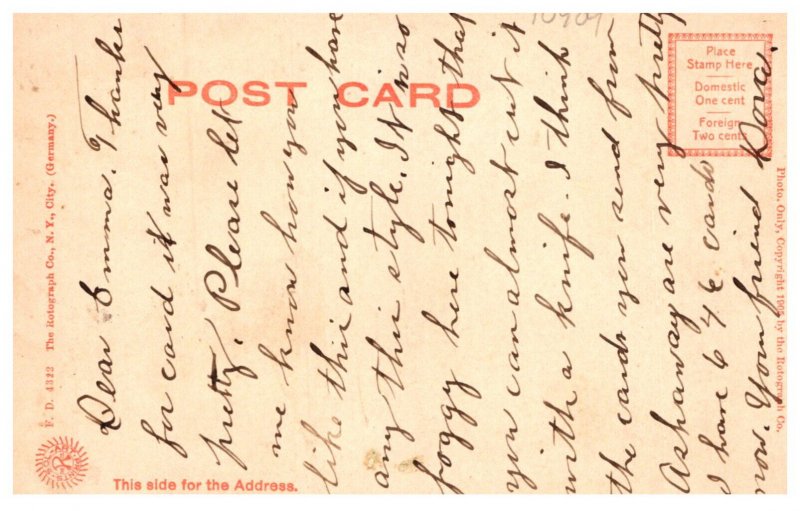 The lake Road , Trees , wood border