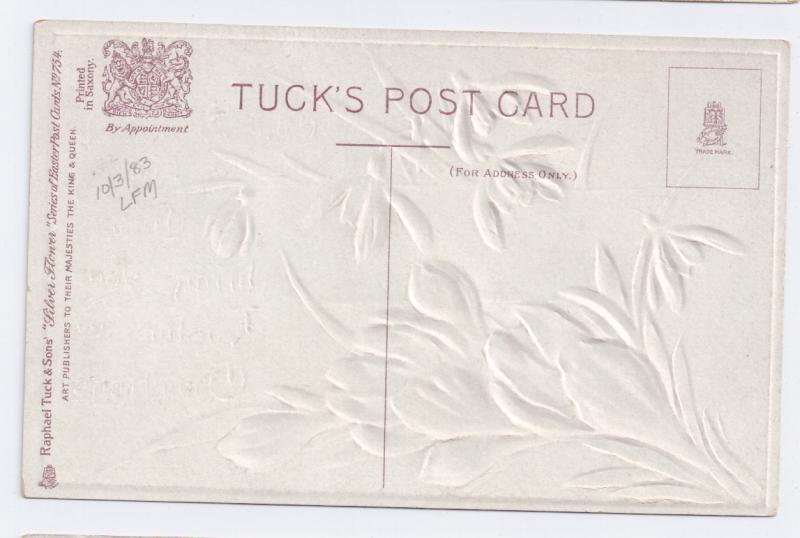 Vintage Easter Postcard Snowdrops Crocus Flowers Embossed Silver Raphael Tuck