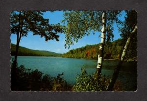 QC Greetings From Cabano Quebec Canada Postcard Carte Postale Lake Birch Trees