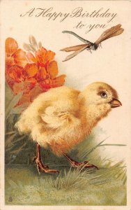 B425 Birthday Greetings 1907 Chick seeks Dragonfly Flowers vintage postcard